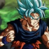 Goku 11