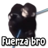 Fuerza bro