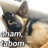 aham, tabom