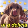ui q delícia