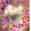 ❤️ PARA LIGAR ❤️ 8