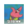 SLEBEWW