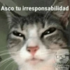 Asco tu irresponsabilidad
Crushes
Uleam