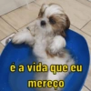 é a vida que eu mereço