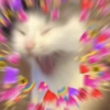 Muero De Amor 13