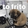 to frito