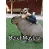 Berat Masbro
