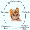 Duermo Me levanto Regreso a casa λ Me baño Me voy a trabajar todo el día