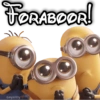 FORABOOR! GeyslOy