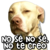 kane stickers No sé No sé, NO te creo