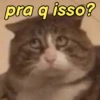 pra q isso?
