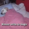Simon orita lo hago