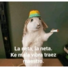 La neta, la neta. Ke mala vibra traez maestro.