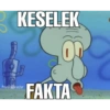 KESELEK
@randombooster
C
FAKTA