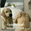 Cada día más
esquizofrenico