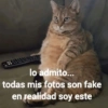 lo admito... todas mis fotos son fake en realidad soy este