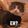 = EH?