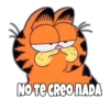 Garfield Grosero 6