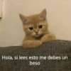 @michis.para.t
Hola, si lees esto me debes un
beso