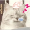 N Z N