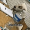 Burst Días, solo días