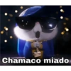 Goysi Oy
Chamaco miado