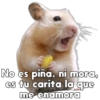 💞🐹Hamstercitos De Amor🐹💞 11