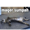 mager sumpah
16870