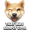 Pet reactions 9