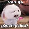 Ven ija
¿Queri pelea?