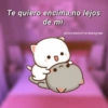 Te quiero encima,no lejos de mi. @Cats4mood en Instagram