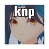 knp