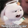 Goys Oy
Tengo evidencias!