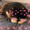 Michitos de amor💖💖 9