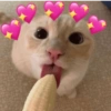 ABRIU TEM QUE ME BJ ❤️ 6