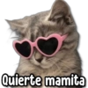 Quierte mamita