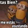 tas Bien? GeysiOy asustando me estás