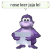 nose leer jaja lol