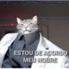 ESTOU DE ACORDO MEU NOBRE