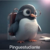 Pinguestudiante