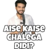 AISE KAISE
CHALEGA
DIDI?