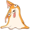 Cute dog 23