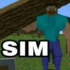 SIM