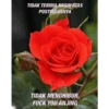 TIDAK TERIMA KASIH ATAS
POSTINGANNYA
TIDAK MENGHIBUR,
FUCK YOU ANJING