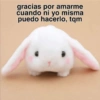 gracias por amarme cuando ni yo misma puedo hacerlo, tqm