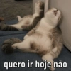 quero ir hoje não