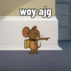 woy ajg s