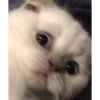 WOKEH👍 15