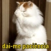 dai-me paciência
