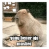 yang bener aja masbro